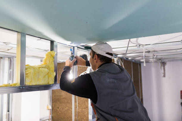 Types of Insulation We Offer in Lake Forest, CA